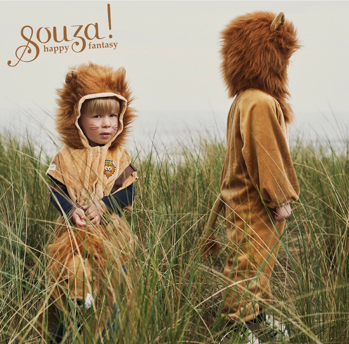 Lion Pékinois