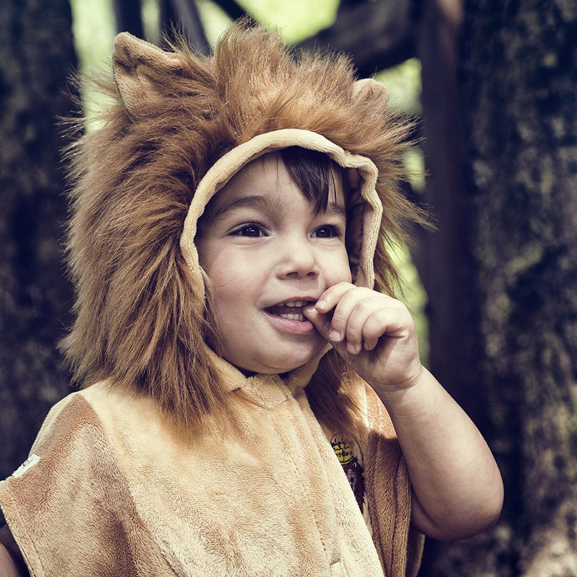 A young child wearing a lion costume with a fluffy brown mane and a tan cape stands outdoors in front of tree trunks. The right side of the frame has a cream-colored panel with the text 'souza! happy fantasy'.