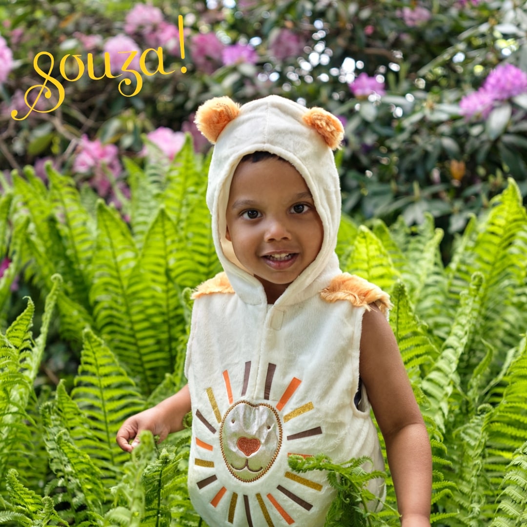 Lio Lion – Kids Lion Costume