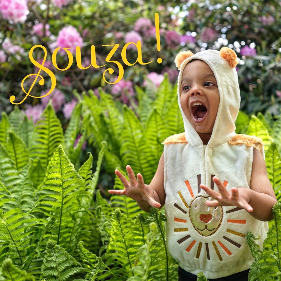 Lio Lion, 2yrs, 92 cm (1 pc)