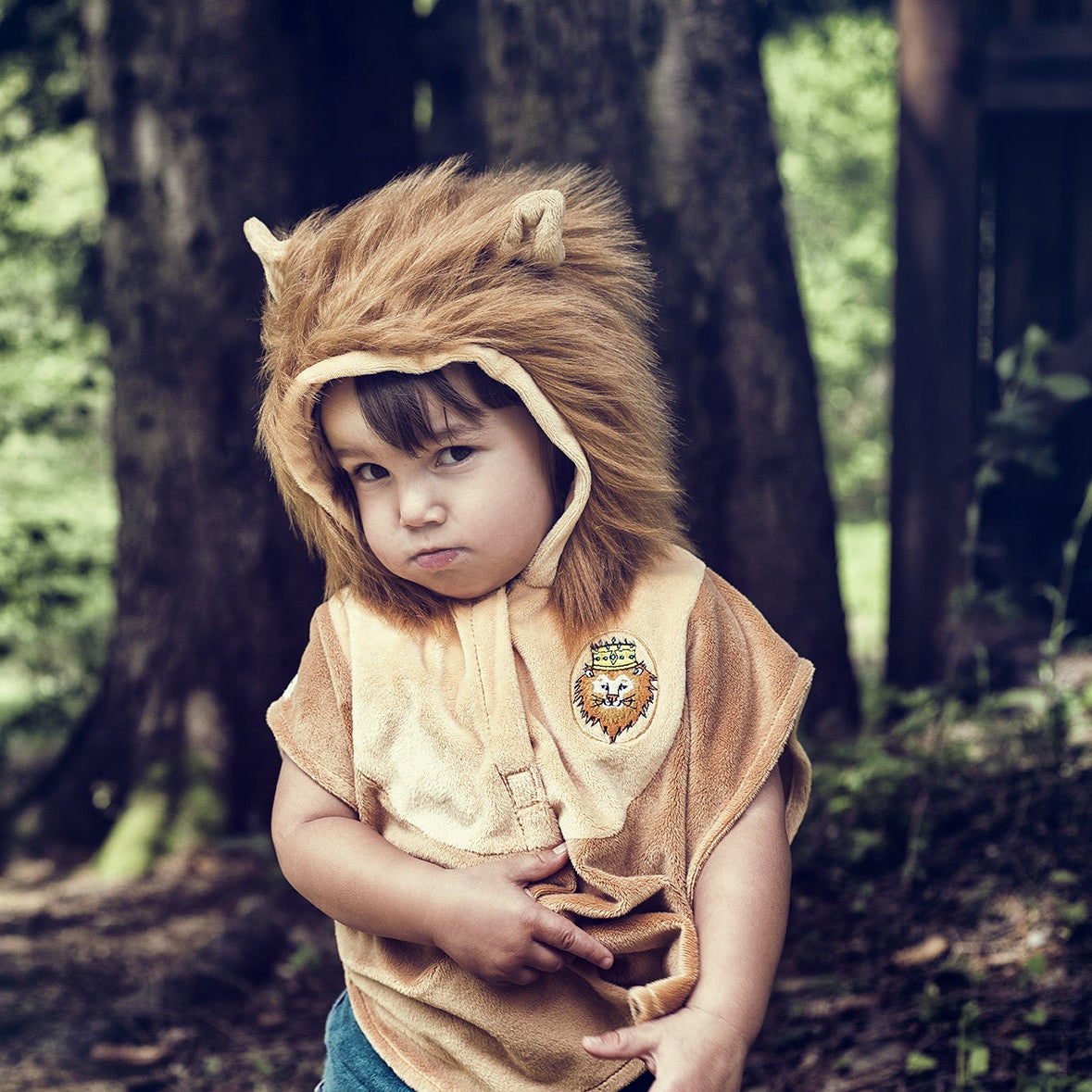 Lion Pékinois